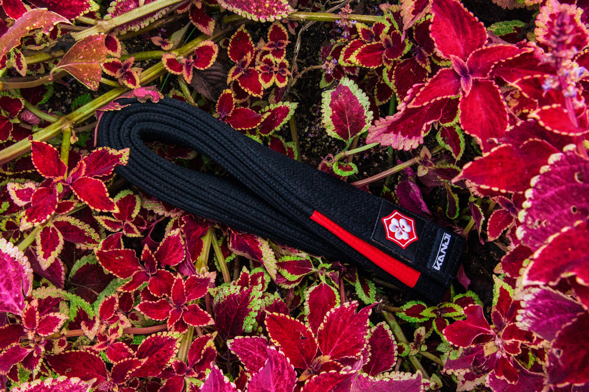 [Builder preview] KATANA | Black (Red Bar)
